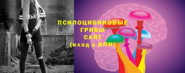 марки lsd Пересвет