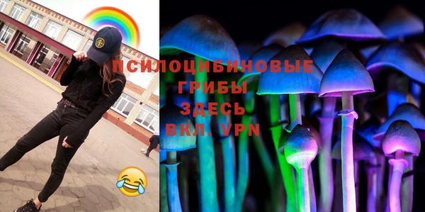 прущие крисы Переславль-Залесский